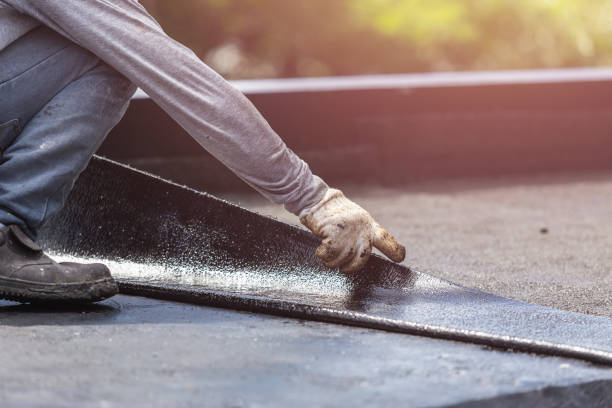 Professional Interior Drainage System technician working in Danville, IL